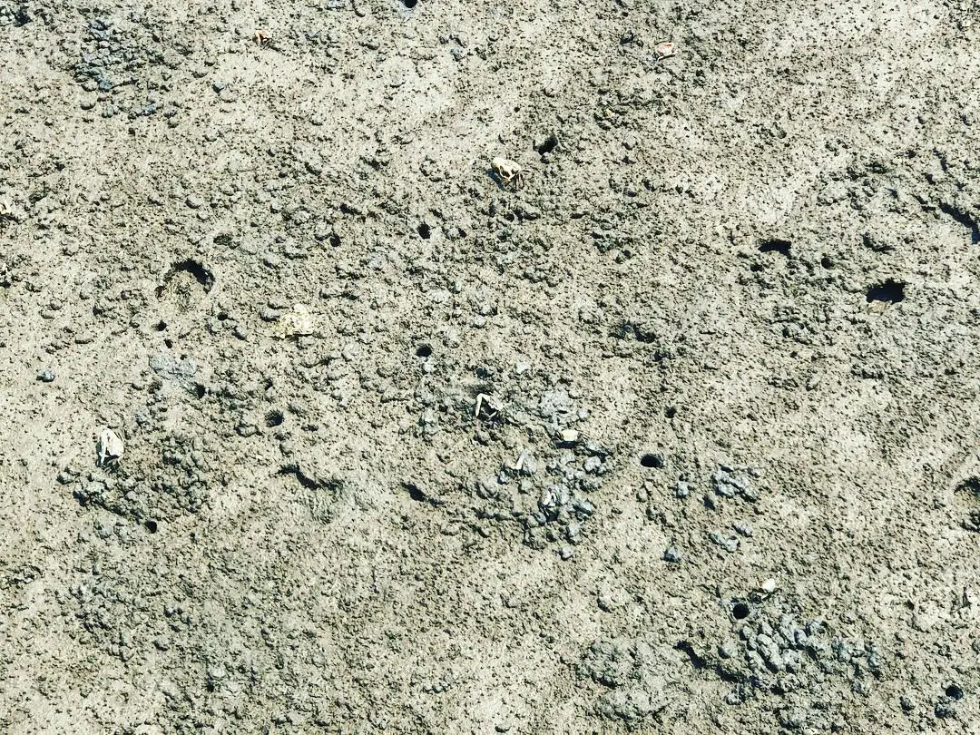 Day 4 photo 1
