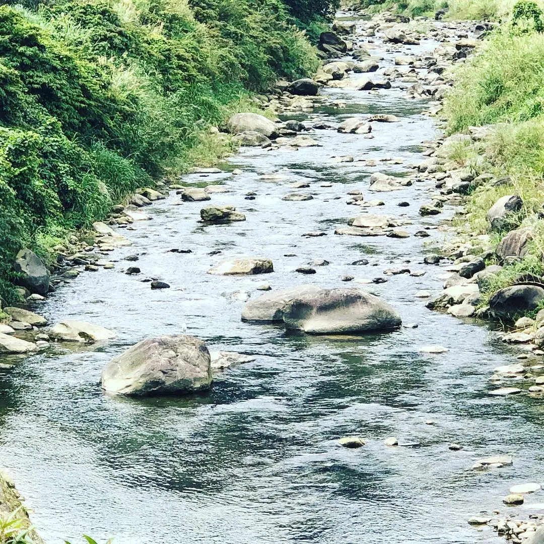 Day 6 photo 1